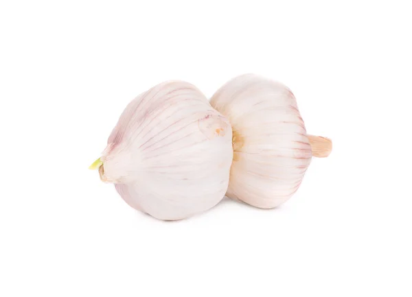 Head of garlic. — Stock Photo, Image