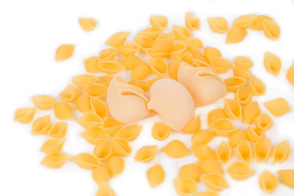 Uncooked pasta lumaconi. — Stock Photo, Image