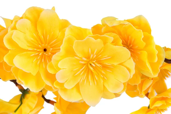 Flores amarillas artificiales —  Fotos de Stock