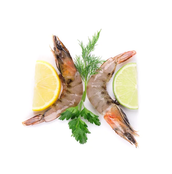 Fresh tiger shrimps — Stock Photo, Image