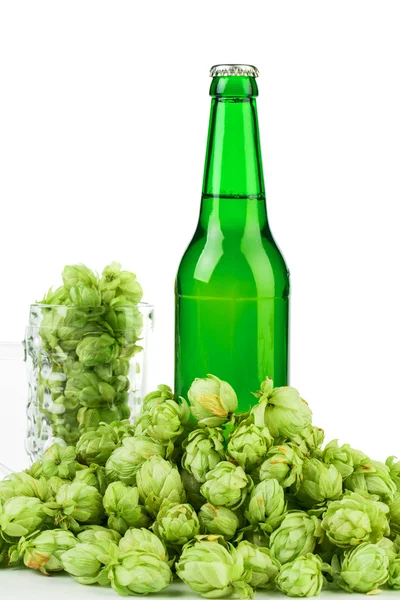 Flasche Bier und Hopfen. — Stockfoto