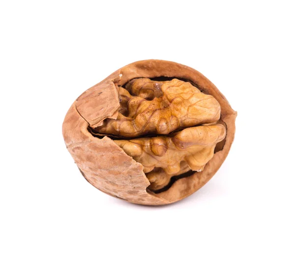 Close up of walnut — Stock Photo, Image