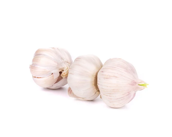 Head of garlic. — Stock Photo, Image