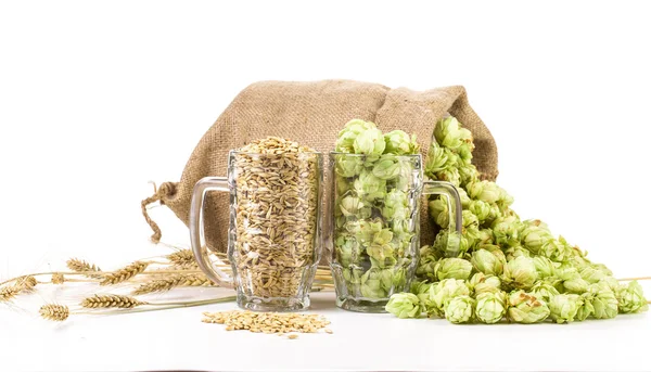 Mugs with barley and hop. — Stock Photo, Image