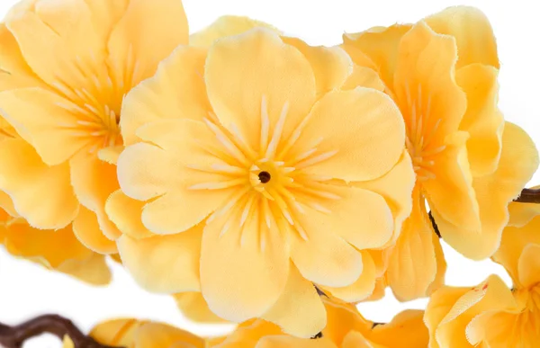 Yellow artificial flowers — Stock Photo, Image