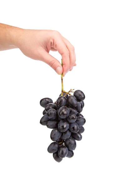 Hand holding red grape Royalty Free Stock Images