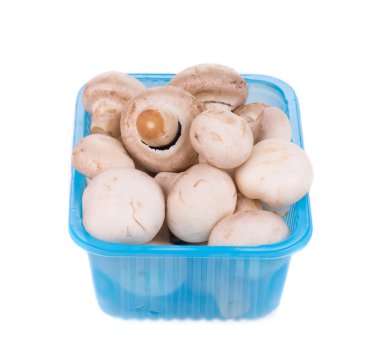 champignon mantarları 