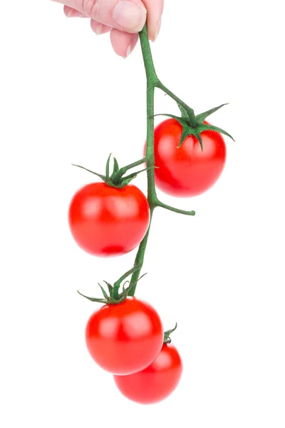 Tomatoes cherry — Stock Photo, Image