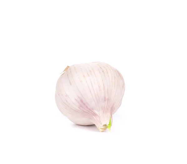 Garlic head — Stock Photo, Image