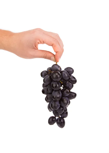 Black grapes in hand. — Stock Photo, Image