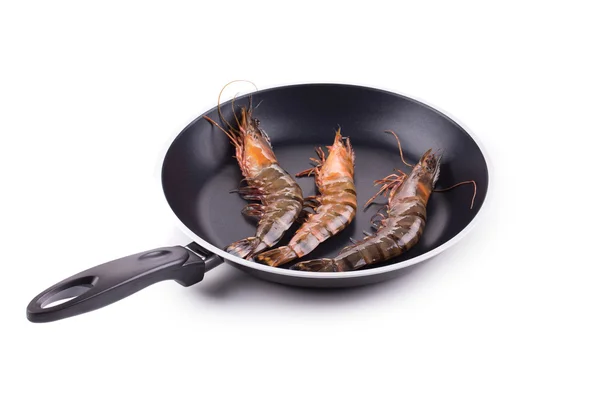 Crevettes tigrées — Photo