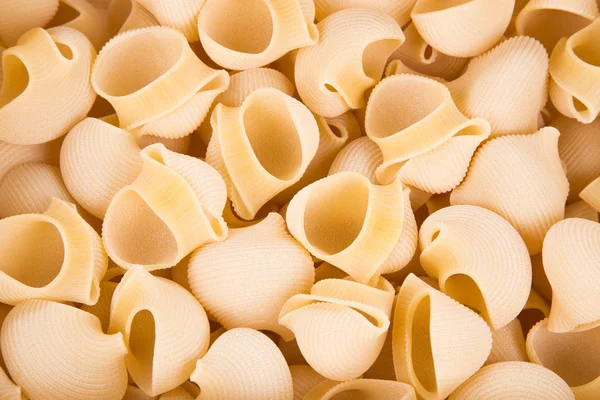 Close up of Italian pasta shells. — Stock Photo, Image