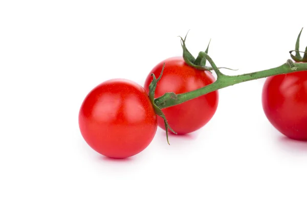 Primer plano de tomates cherry . —  Fotos de Stock