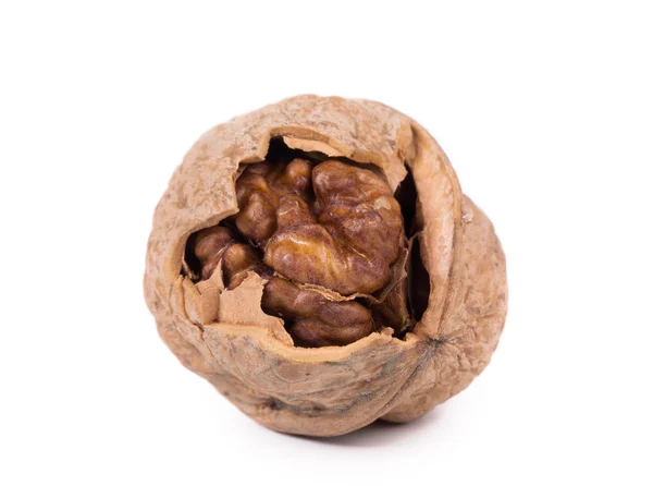 Cracked walnut. — Stock Photo, Image