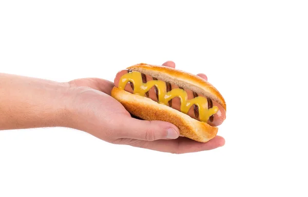 Hotdog with mustard — Stock Photo, Image