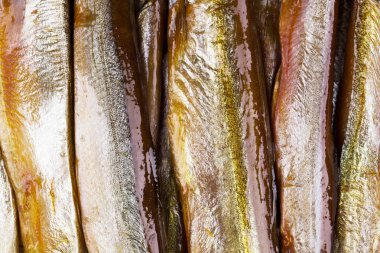 duman-kurutulmuş balık