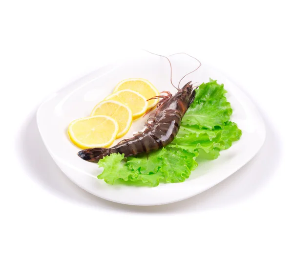 生虎虾 — 图库照片
