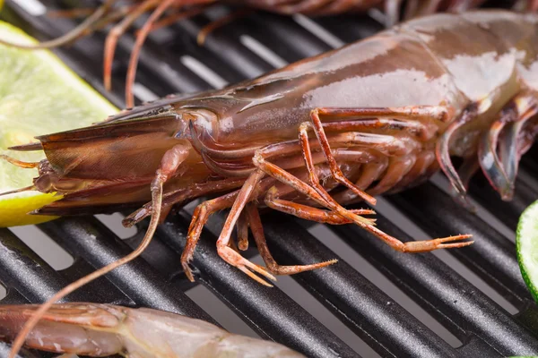 Shrimps in pan. — Stock Photo, Image