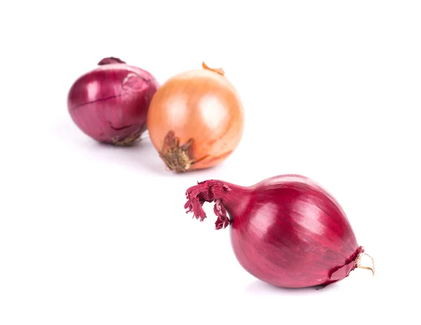 Différents types d'oignons — Photo