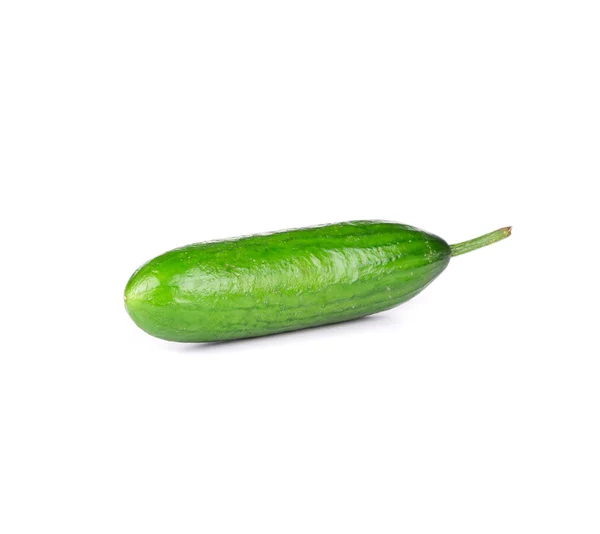 Fresh cucumber — Stock Photo, Image