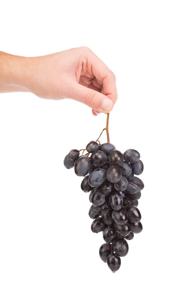 Black grapes — Stock Photo, Image