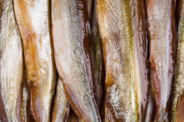 duman-kurutulmuş balık 