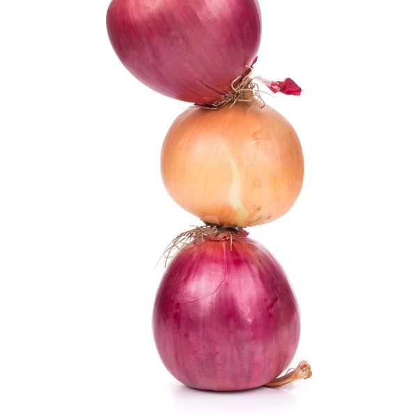 Different onions — Stock Photo, Image