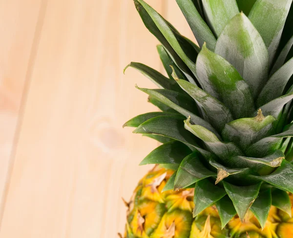 Ananas Gros plan — Photo
