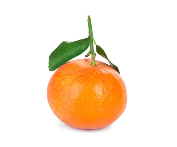 Reife schöne Orange. — Stockfoto