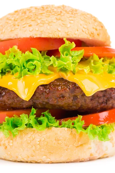 Hamburger met groenten. — Stockfoto