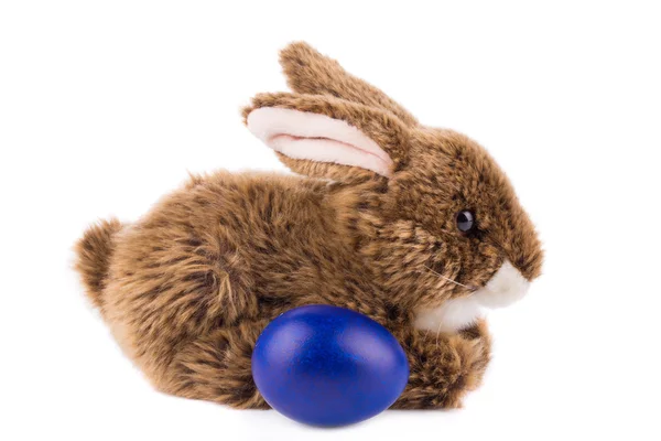 Easter rabbit and egg — Stock Photo, Image