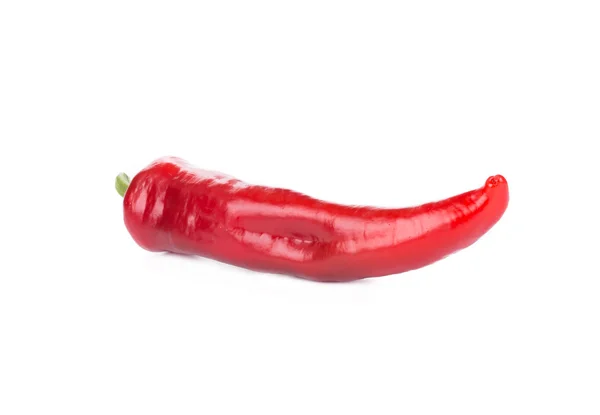 Red chili pepper. — Stock Photo, Image