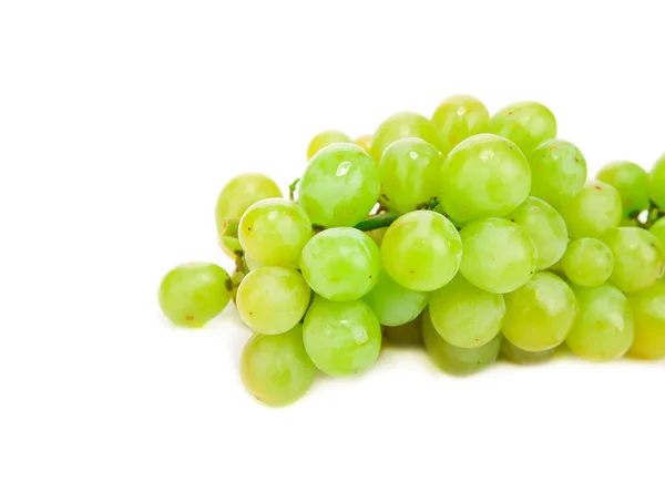 Ramo de uvas blancas. — Foto de Stock