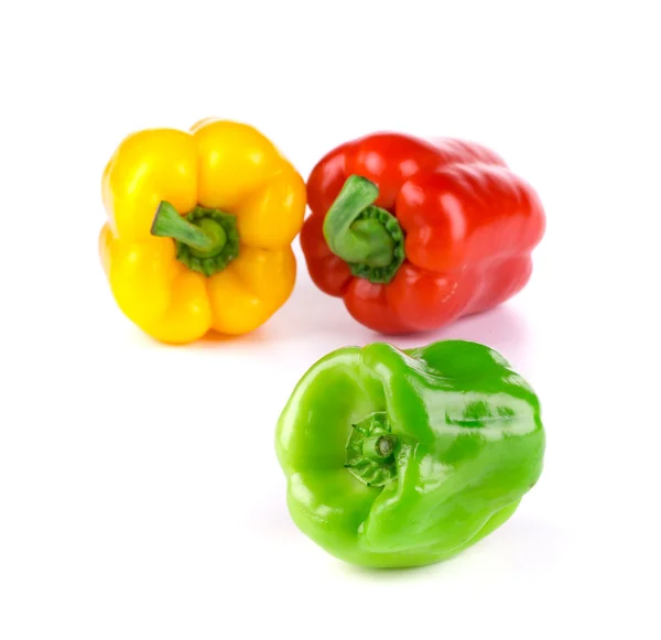 Green red and yellow pepper. — Stock Photo, Image