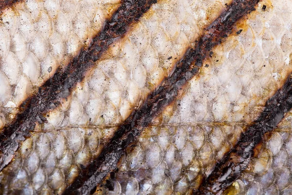 Échelles de poissons grillés — Photo