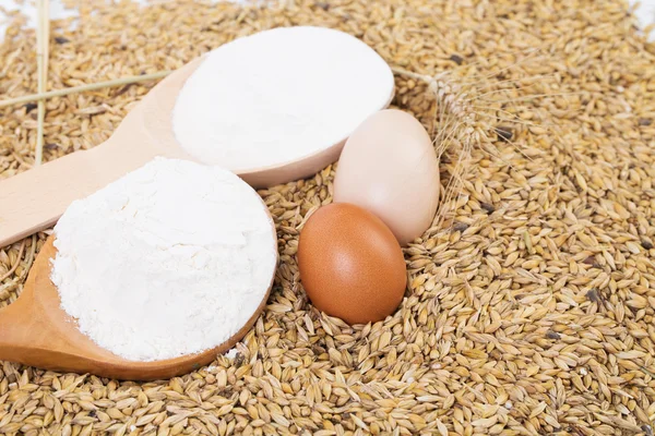 Wheat grains and flour — Stock Photo, Image