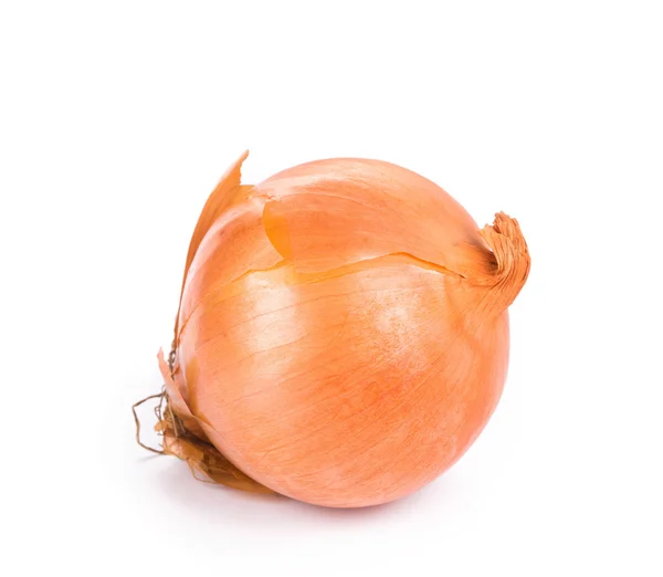 Ripe onion — Stock Photo, Image