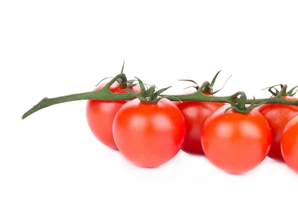 Kirschtomaten — Stockfoto