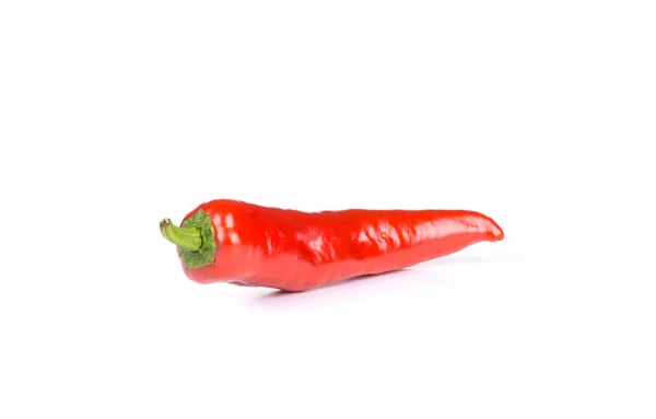 Röd chilipeppar. — Stockfoto