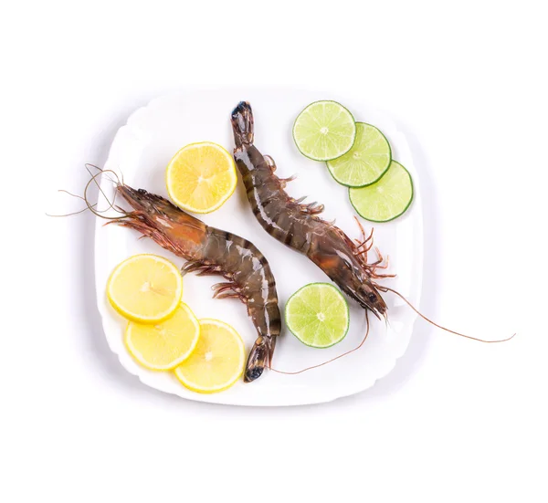 Raw tiger shrimps on plate. — Stock Photo, Image