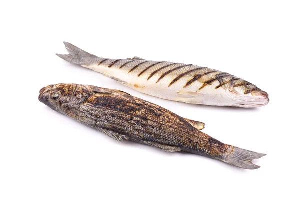 Två grillad havsabborre fisk. — Stockfoto