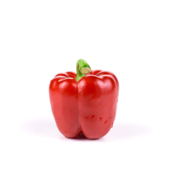 Sweet red pepper. — Stock Photo, Image