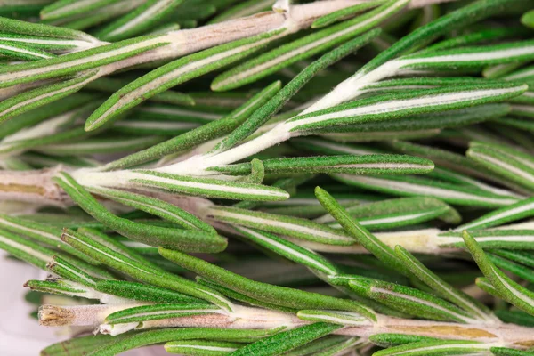 Rosemary herb close up view as background. — Stock Photo, Image