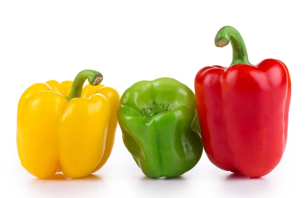 Färgade paprika — Stockfoto