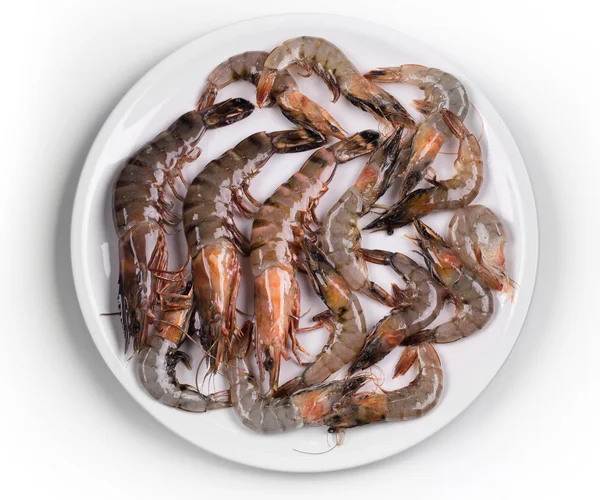 原料虾 — 图库照片