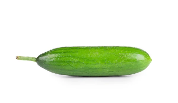 Fresh cucumber — Stock Photo, Image