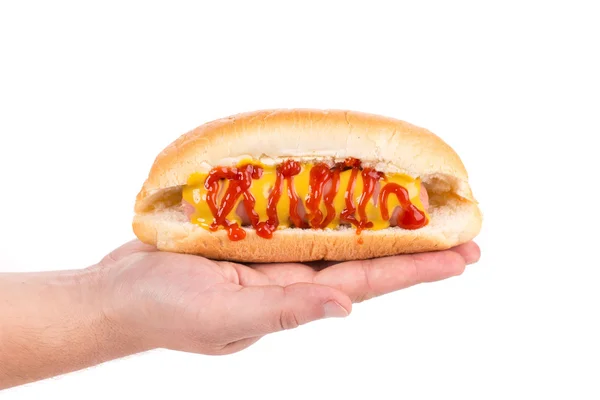 Mano sosteniendo hot dog . —  Fotos de Stock