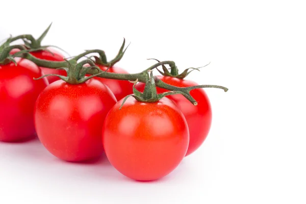 Primer plano de tomates cherry . — Foto de Stock