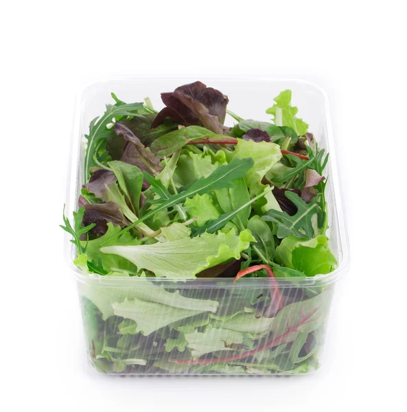 Green and red leaf of lettuce in box. — Stock Photo, Image