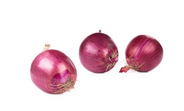 Kırmızı soğan Ampüller